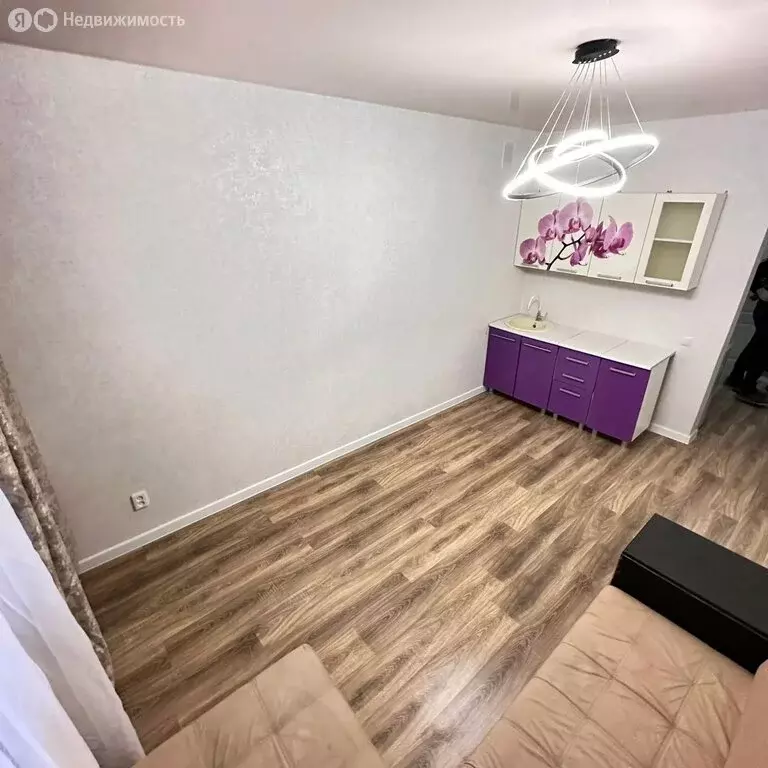 Квартира-студия: посёлок Российский, улица Куликова Поля, 31 (22 м) - Фото 2