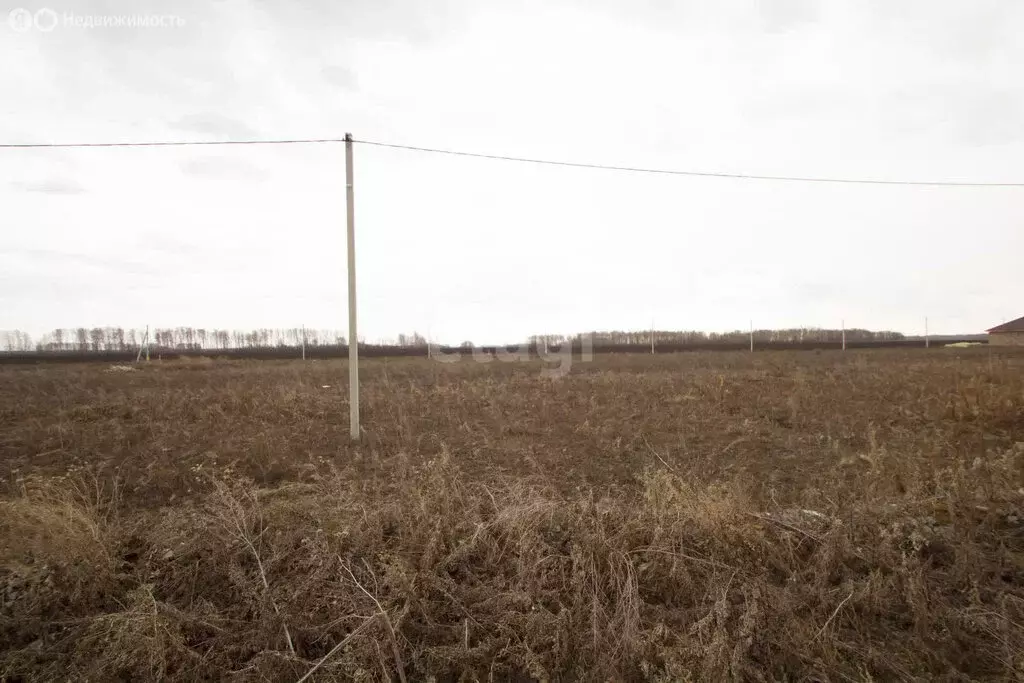 Участок в Заводоуковск, Олимпийская улица (9.4 м) - Фото 2