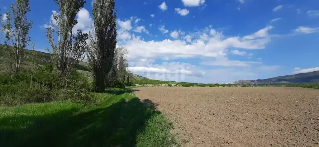 Участок в Крым, Белогорский район, с. Курское ул. Северная (252.0 ... - Фото 1