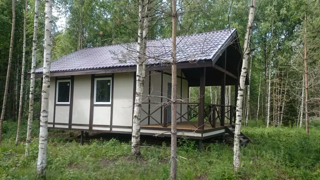 Участок в Ленинградская область, Гатчинский муниципальный округ, ... - Фото 1