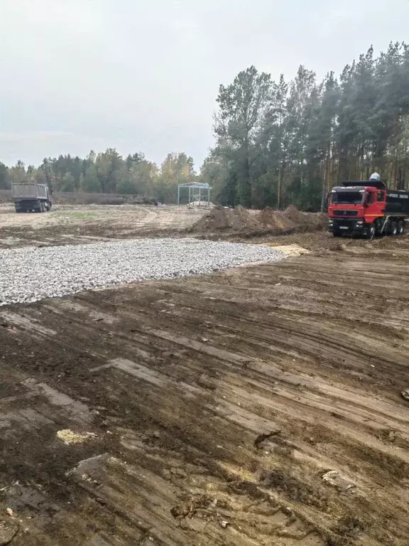 Участок в Ленинградская область, Всеволожский район, Дубровское ... - Фото 2