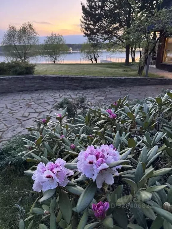 Дом в Тверская область, Конаковский муниципальный округ, с. Свердлово ... - Фото 1
