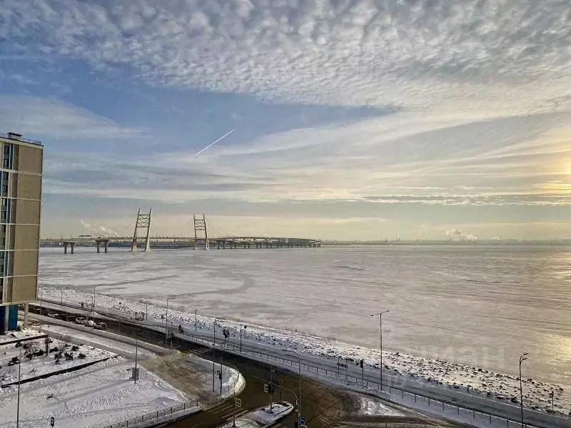 1-к кв. Санкт-Петербург наб. Миклухо-Маклая, 3к1 (45.6 м) - Фото 0