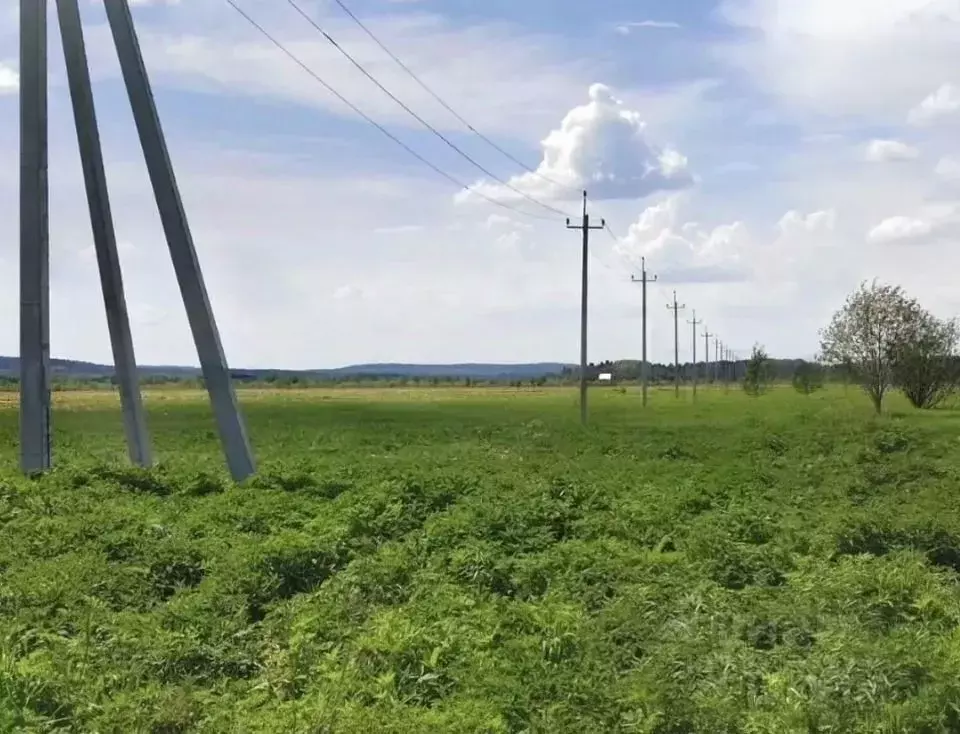 Участок в Московская область, Домодедово городской округ, с. Успенское ... - Фото 0