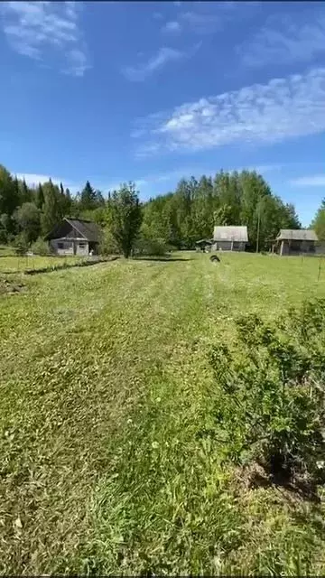 Участок 85 сот. (ИЖС) - Фото 1