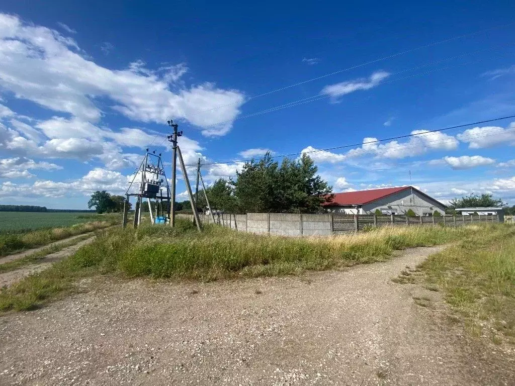 Производственное помещение в Калининградская область, Гвардейский ... - Фото 1