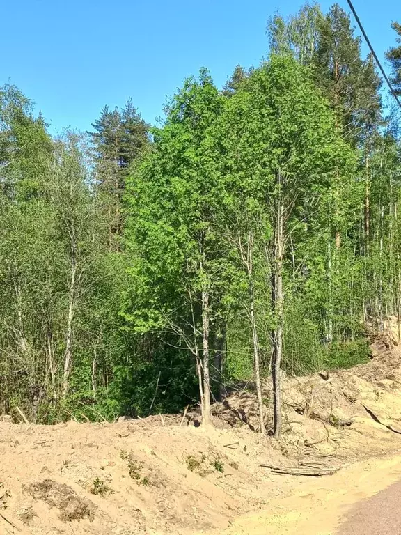 Участок в Ленинградская область, Всеволожский район, Токсовское ... - Фото 0