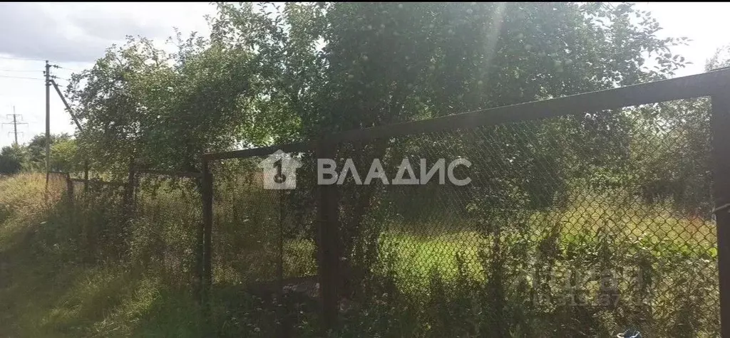 Участок в Калининградская область, Гурьевский муниципальный округ, ... - Фото 2