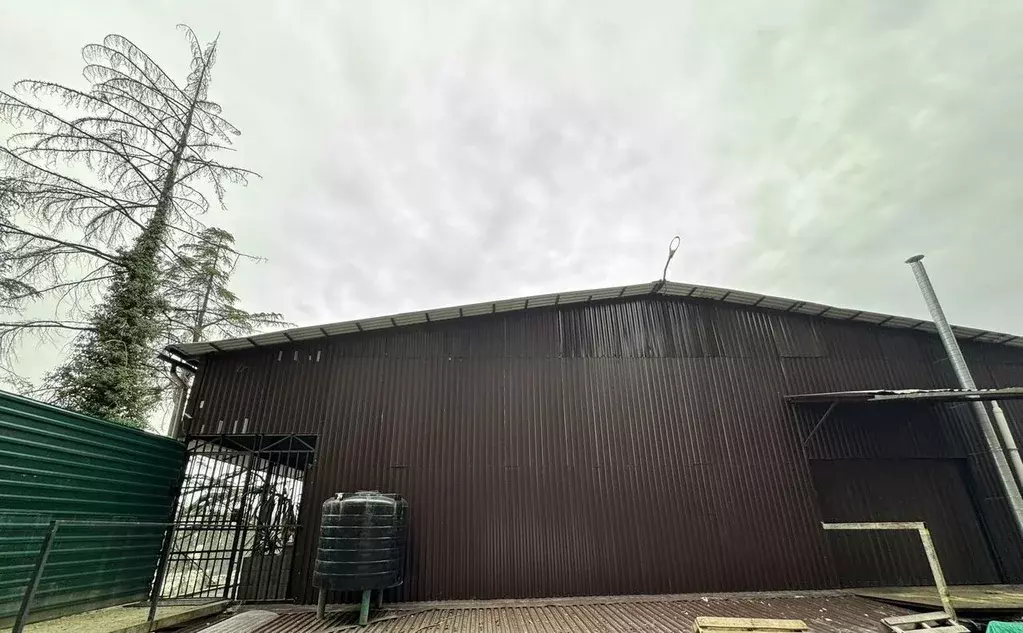 Склад в Краснодарский край, Сочи Транспортная ул., 15/2 (240 м) - Фото 1