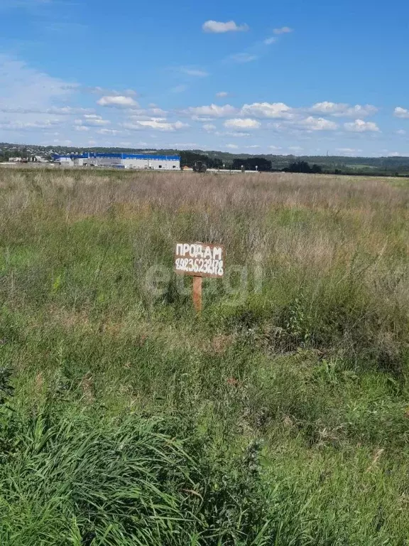 Участок в Кемеровская область, Беловский муниципальный округ, с. ... - Фото 0