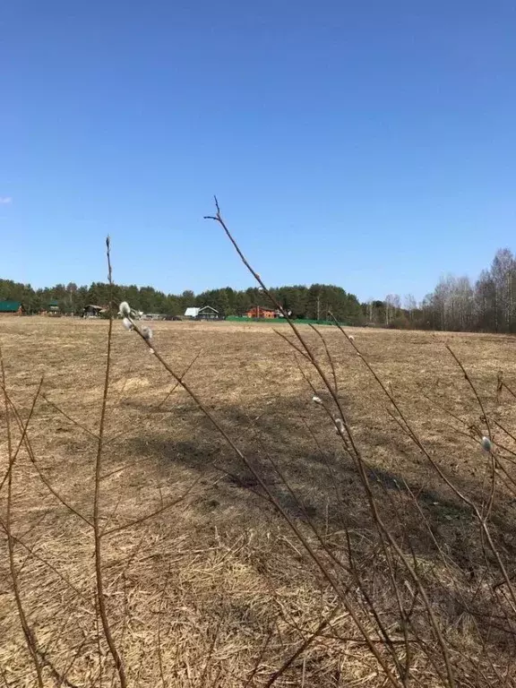 Участок в Ленинградская область, Выборгский район, Рощинское городское ... - Фото 0