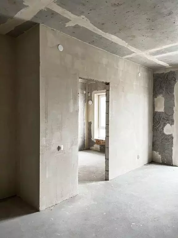 1-к кв. Псковская область, Псковский район, Завеличенская волость, д. ... - Фото 2