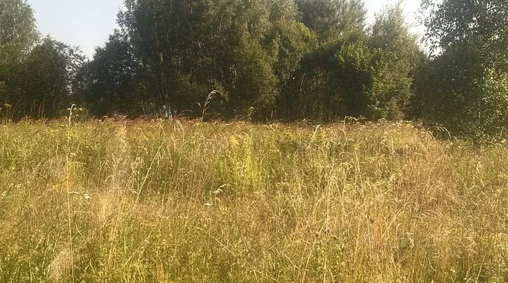 Участок в Московская область, Ступино городской округ, д. Заворыкино ... - Фото 1