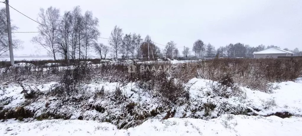 Участок в Владимирская область, Суздальский район, Боголюбовское ... - Фото 0