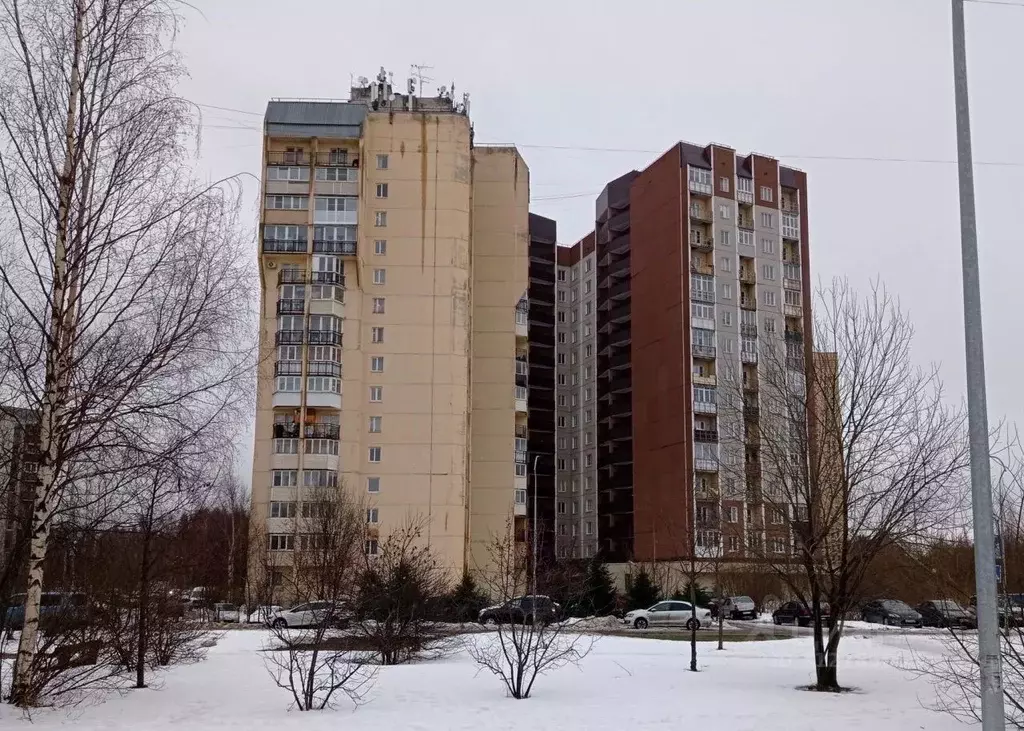 1-к кв. Ленинградская область, Всеволожский район, д. Новое Девяткино ... - Фото 0