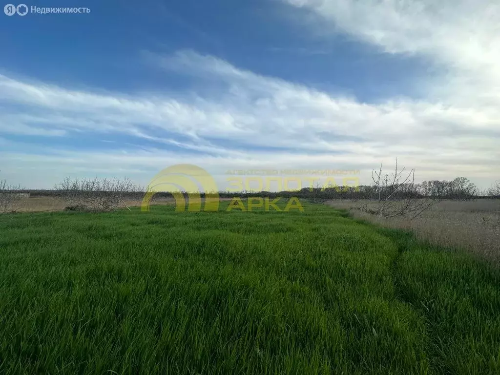 Участок в Темрюкский район, Фонталовское сельское поселение, посёлок ... - Фото 2