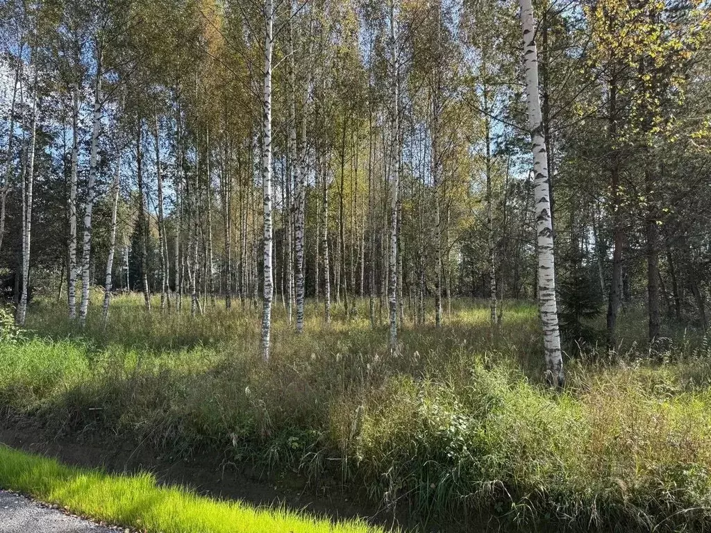 Участок в Ленинградская область, Всеволожский район, Колтушское ... - Фото 1