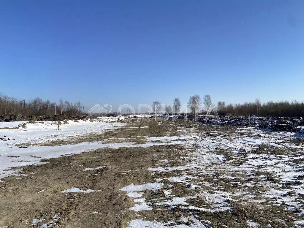 Участок в Тюменская область, Тюмень ул. Серебристая (8.06 сот.) - Фото 0