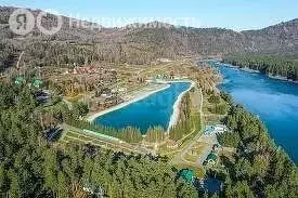 Участок в Алтайский район, игорная зона Сибирская Монета (100 м) - Фото 1