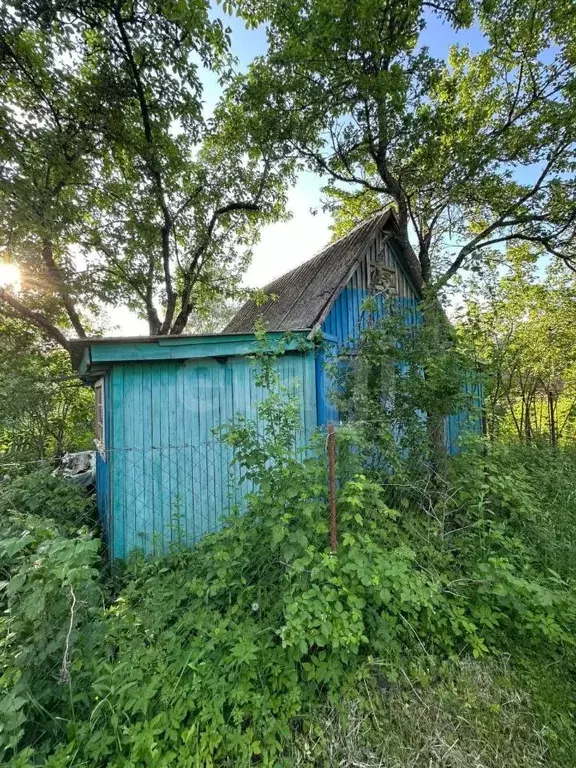 Дом в Брянская область, Брянск Природа садовое общество,  (20 м) - Фото 1