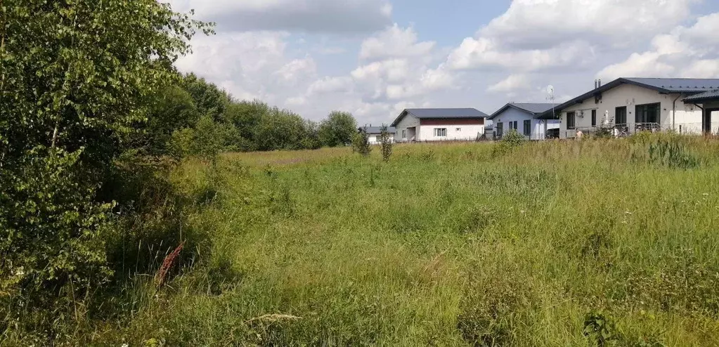 Участок в Московская область, Ступино городской округ, с. ... - Фото 0