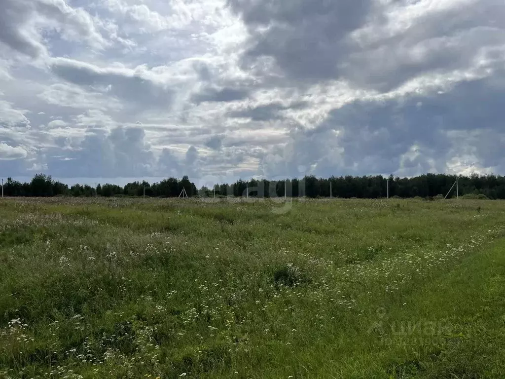 Участок в Тюменская область, Тюменский муниципальный округ, ... - Фото 2