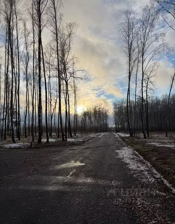 Участок в Московская область, Серпухов городской округ, д. Судимля  ... - Фото 2
