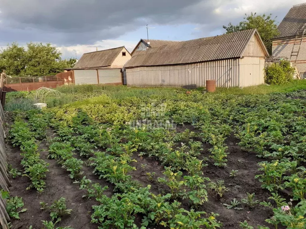 Купить дом Железнодорожный пер., Верхняя Хава, продажа домов Железнодорожный  пер., Верхняя Хава в черте города на AFY.ru