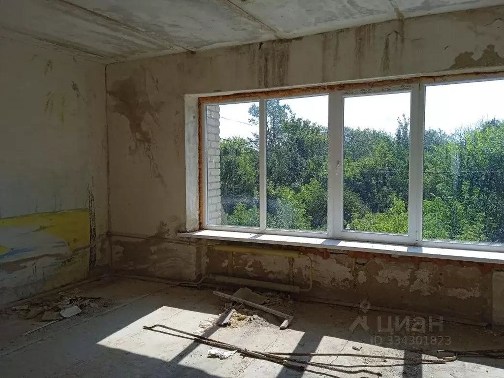 Помещение свободного назначения в Липецкая область, Долгоруковский ... - Фото 2
