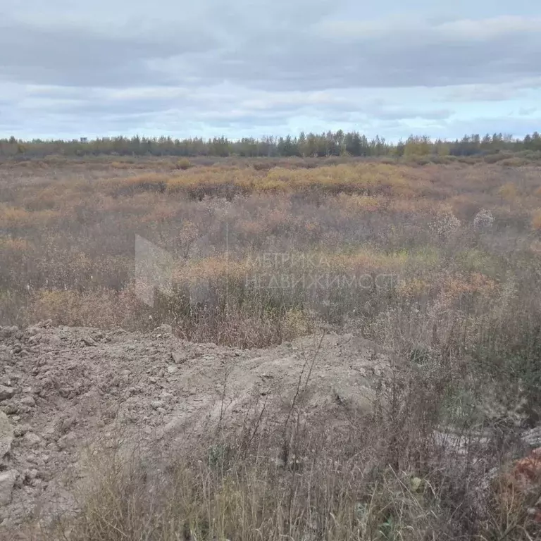 Участок в Тюменская область, Тюмень ул. Давыдова (9.35 сот.) - Фото 2