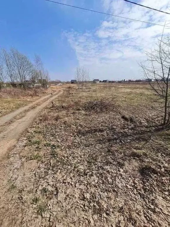 Участок в Новгородская область, Новгородский район, Борковское с/пос, ... - Фото 1