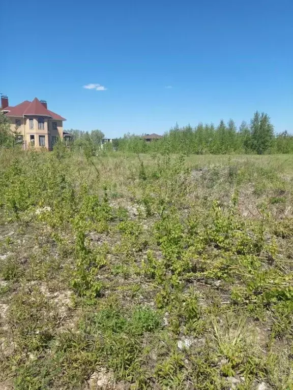 Участок в Нижегородская область, Кстовский муниципальный округ, с. ... - Фото 1