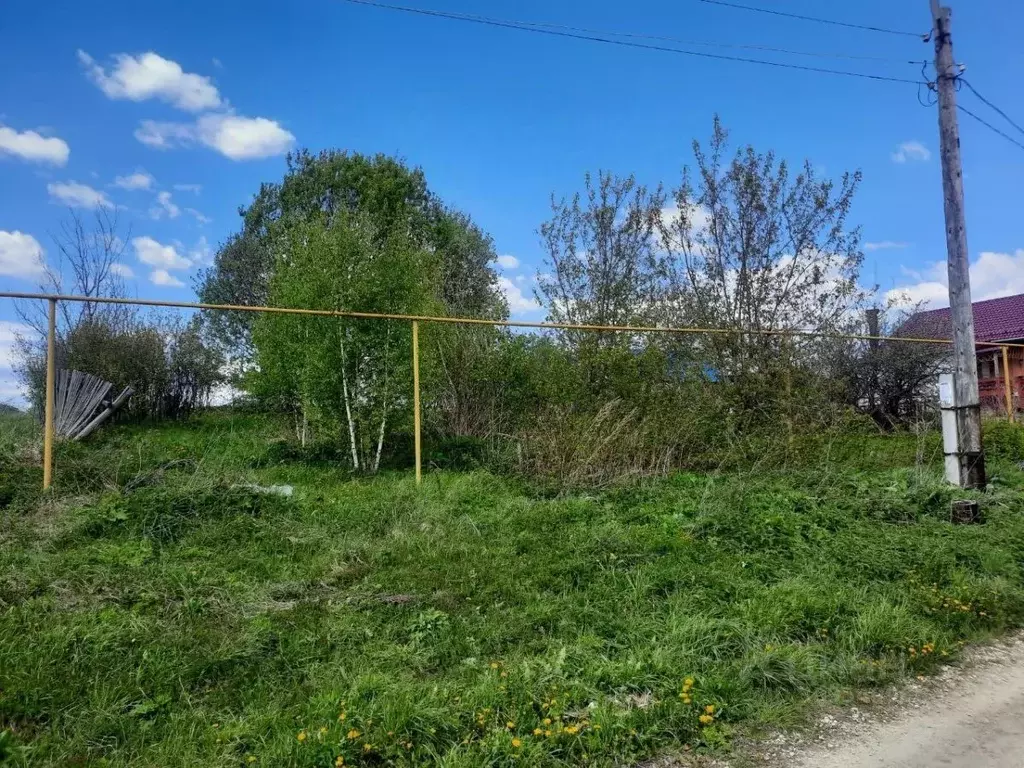 Участок в Нижегородская область, Арзамас городской округ, с. Морозовка ... - Фото 0