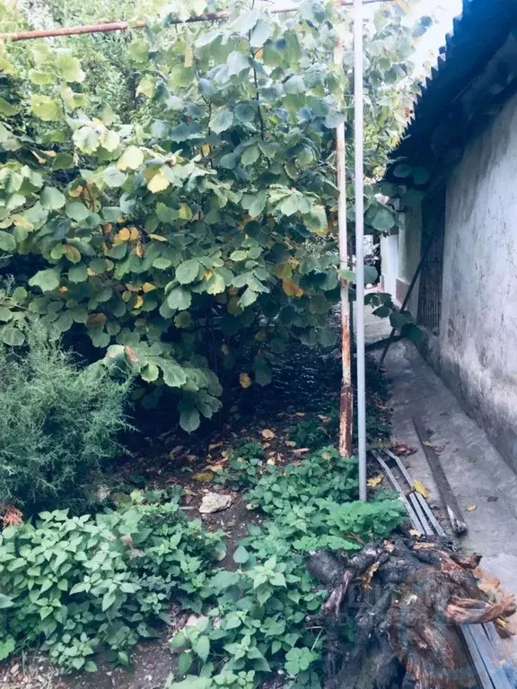 3-к кв. Крым, Симферополь пер. Пограничников, 5 (60.0 м) - Фото 2