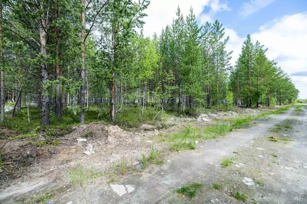 Участок в Ханты-Мансийский АО, Сургутского муниципального района тер., ... - Фото 0