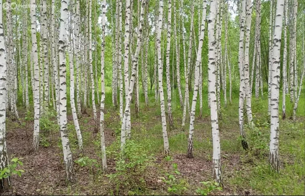 Участок в посёлок Октябрьский, КП Заречный, Весенняя улица (12 м) - Фото 1