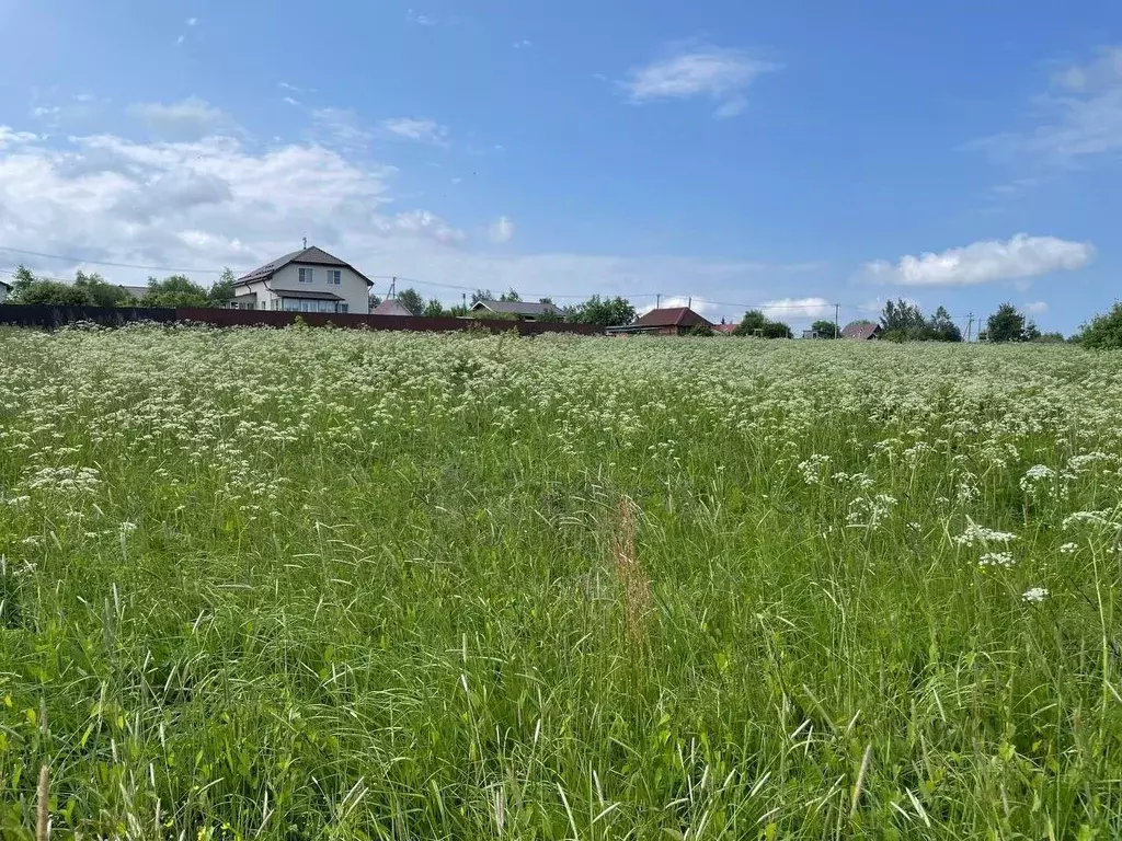 Участок в Московская область, Воскресенск городской округ, д. Цибино ... - Фото 0