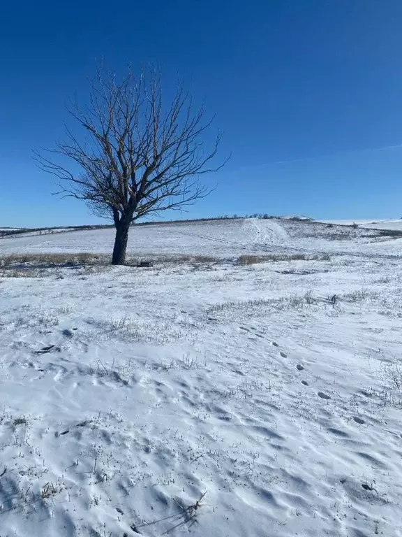 Участок в Ставропольский край, Пятигорск ул. Ермолова, 37 (6.0 сот.) - Фото 1