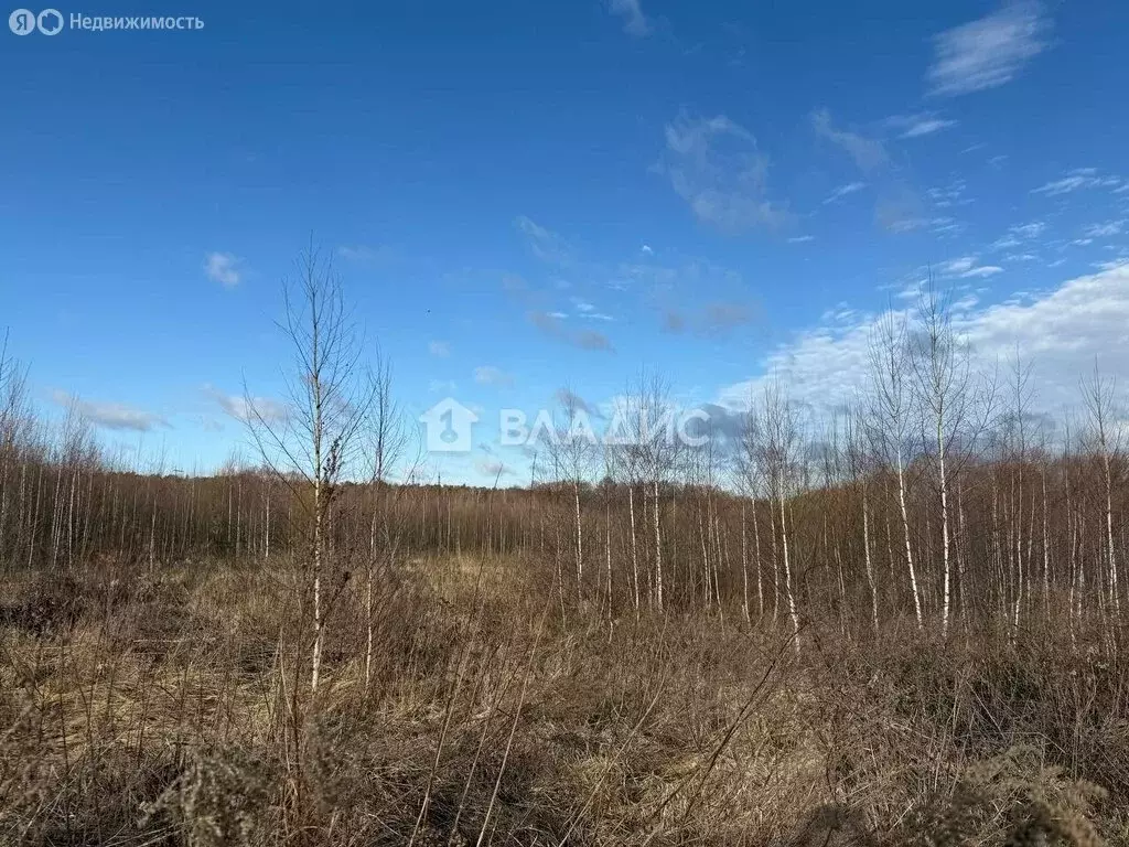 Участок в Ленинский городской округ, деревня Спасское (107 м) - Фото 1
