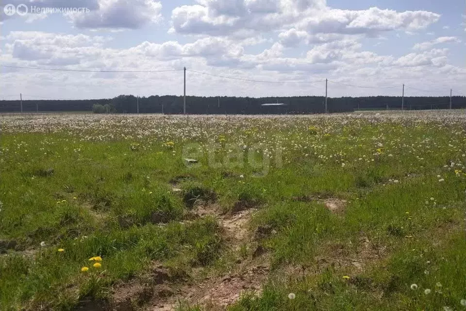 Участок в Нижегородская область, рабочий посёлок Бутурлино, Полевая ... - Фото 2