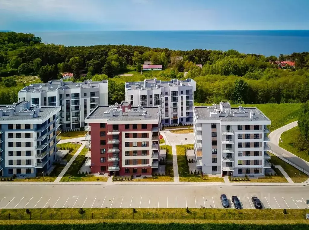 2-к кв. Калининградская область, Светлогорск Ольховая ул., 19к5 (42.0 ... - Фото 2