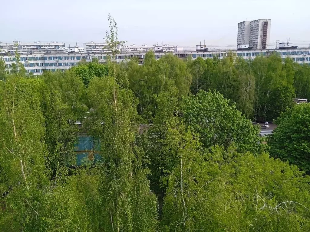 Комната Москва Шипиловская ул., 23К2 (12.0 м) - Фото 1