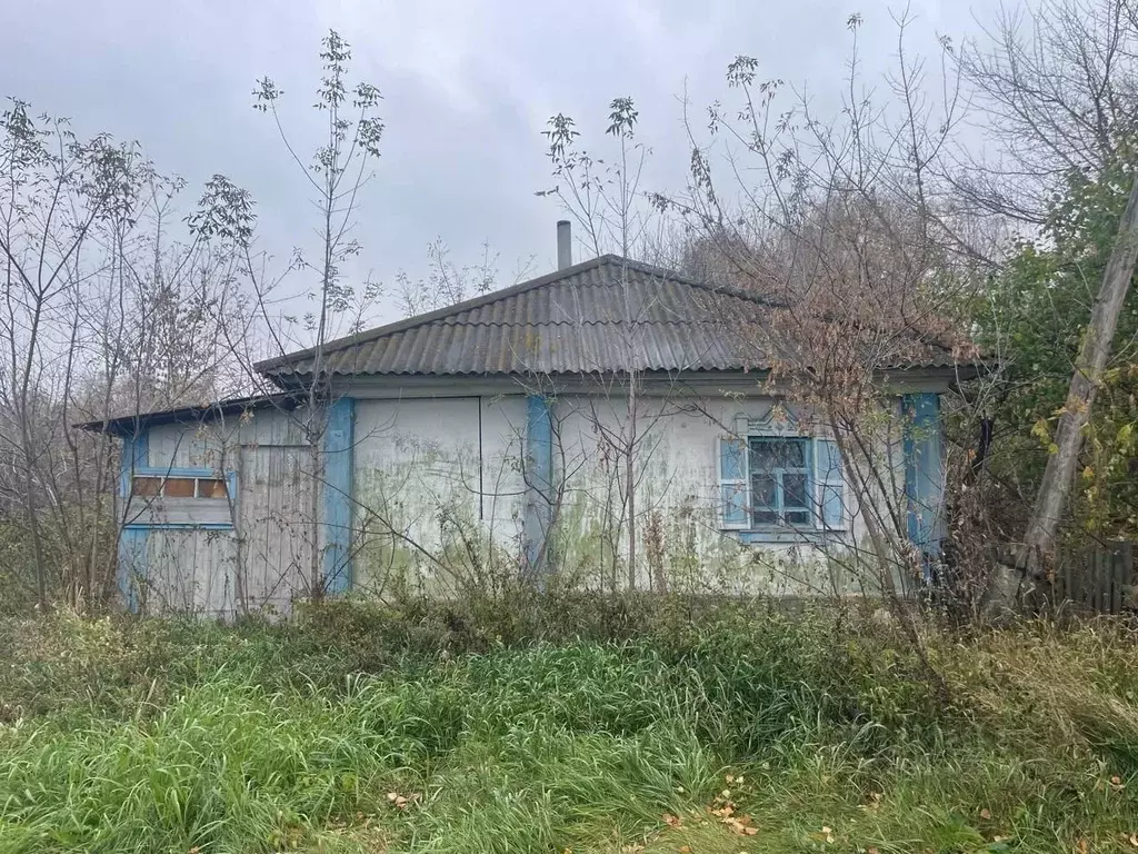 Дом в Алтайский край, Топчихинский район, с. Сидоровка Садовая ул. (46 ... - Фото 2