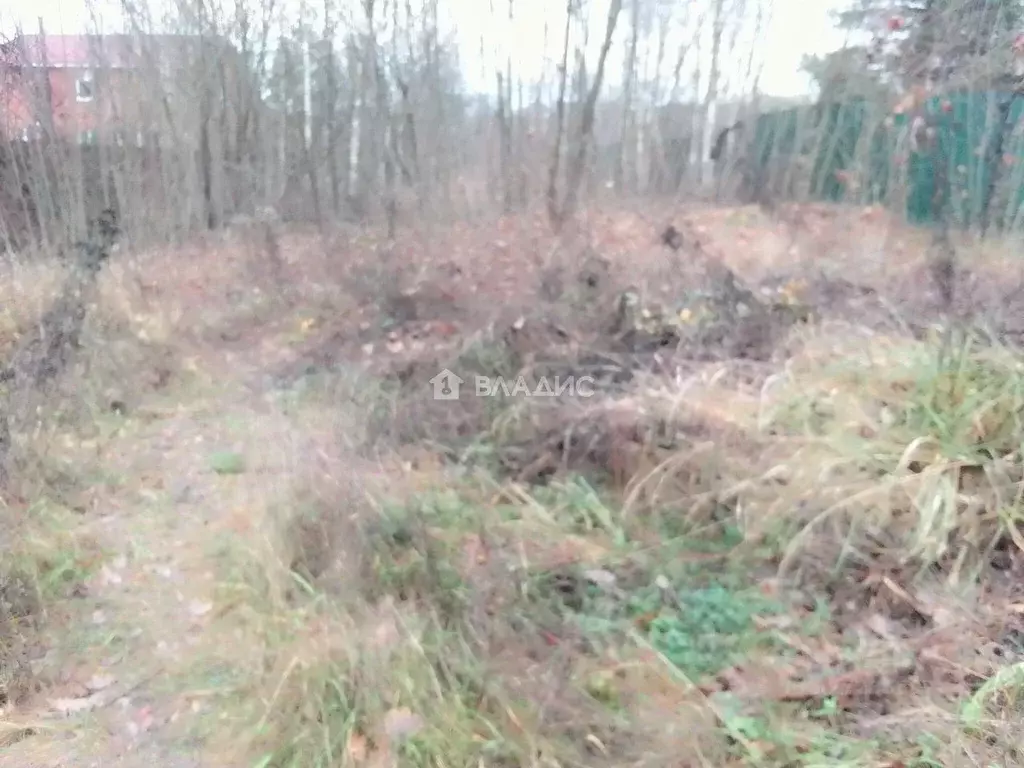 Участок в Московская область, Луховицы муниципальный округ, с. Городна ... - Фото 2