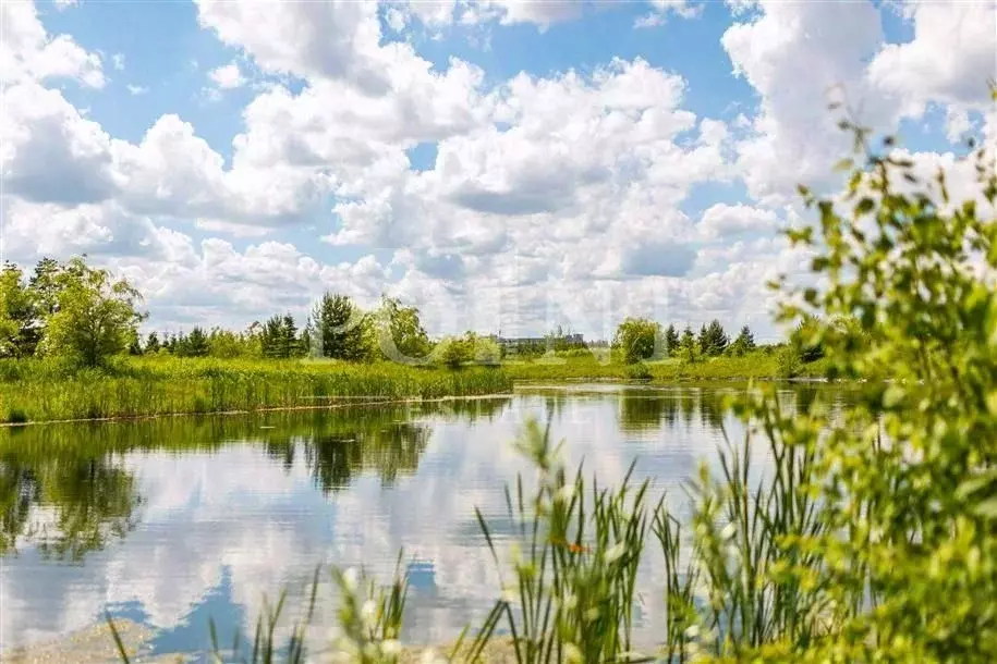 Участок в Московская область, Красногорск городской округ, д. ... - Фото 1