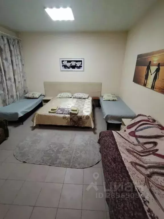 Комната Крым, Симферопольский район, Николаевка пгт ул. Зеленая, 3 - Фото 2