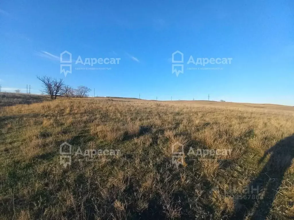 Участок в Волгоградская область, Городищенский район, Царицынское ... - Фото 2