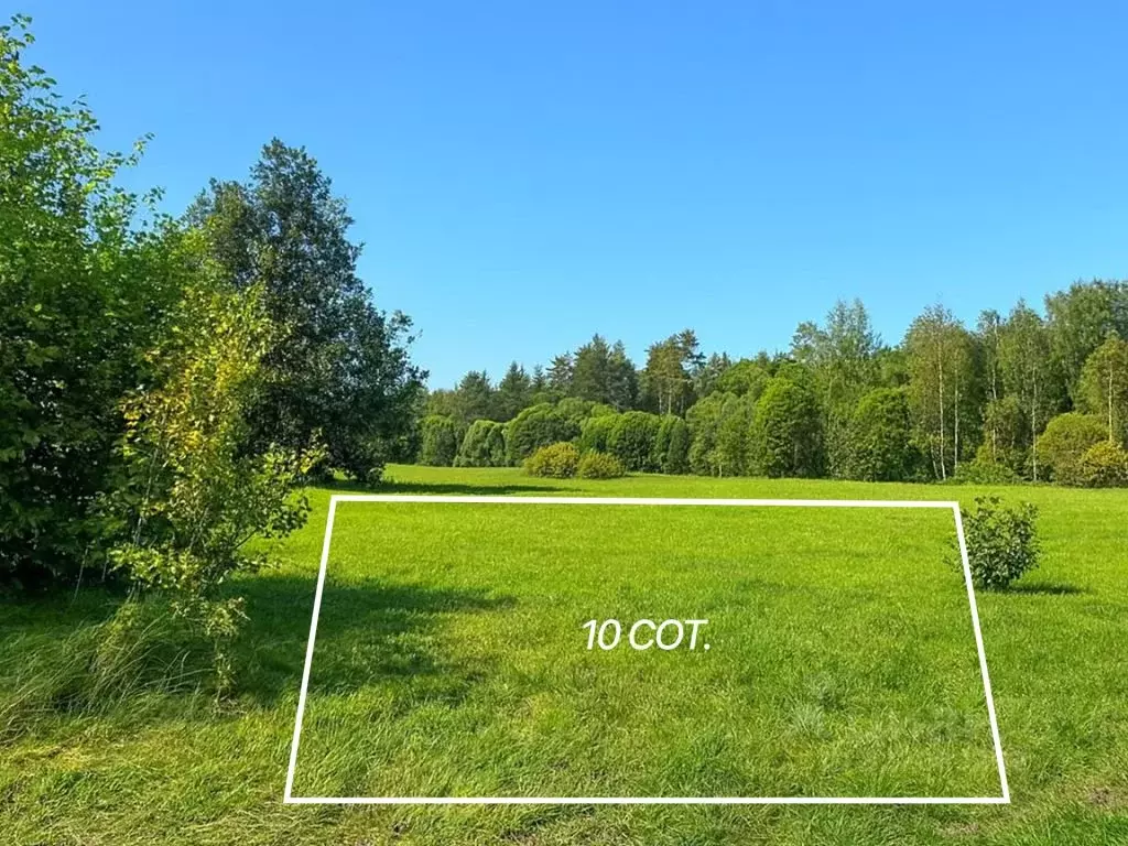 Участок в Калужская область, Совхоз Боровский с/пос, д. Комлево  (10.0 ... - Фото 1