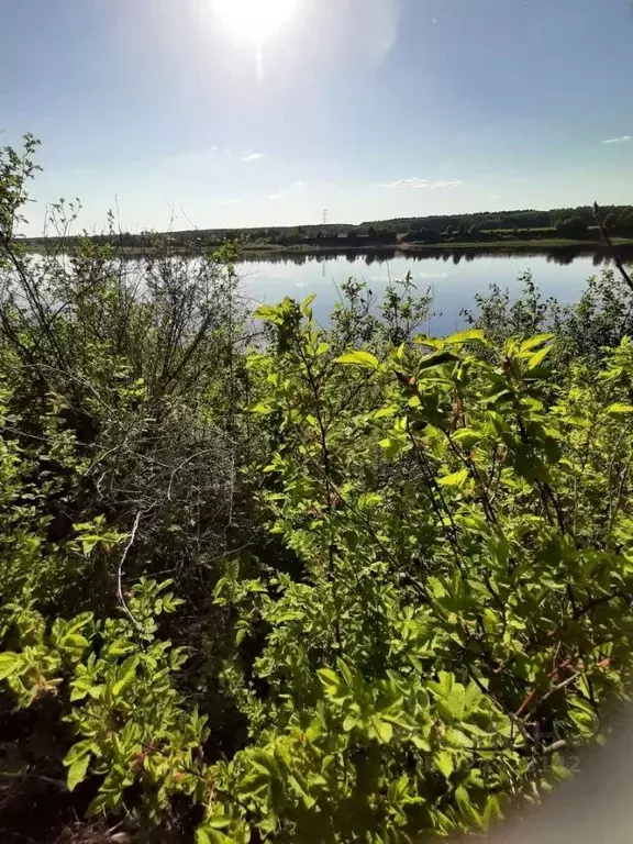Участок в Вологодская область, Великоустюгский муниципальный округ, д. ... - Фото 1