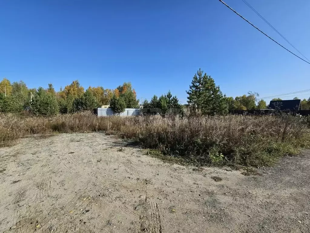 Участок в Тюменская область, Нижнетавдинский муниципальный округ, ... - Фото 2